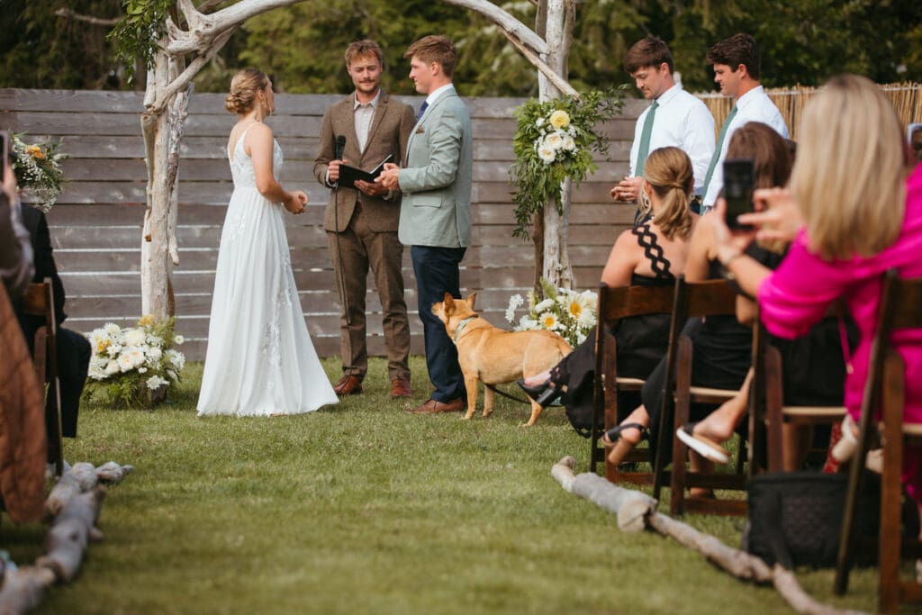 A wedding ceremony with a dog and guests watching